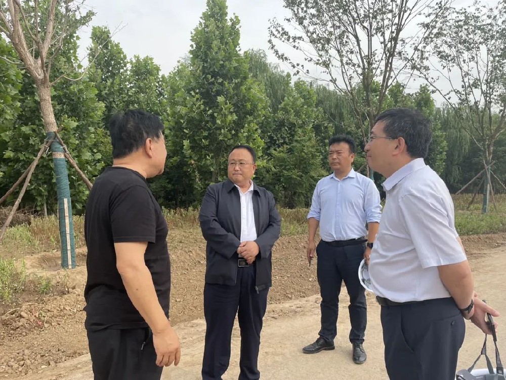 张海红到鲲乐湾督导检查安全生产和施工进展情况